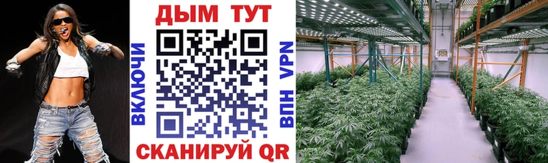 Канабис семена  Купить закладки  Вольск 